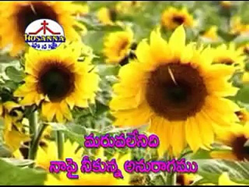 BRO YESANNA AARADHANA PALLAKI SASWATHAMAINADI