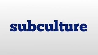 subculture meaning and pronunciation