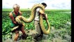WORLDS LARGEST BIGGEST SNAKE WAS FOUND DEAD 2015 | Big Snake