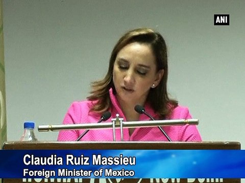 Mexican Foreign Minister proposes compromise formula over UNSC reforms