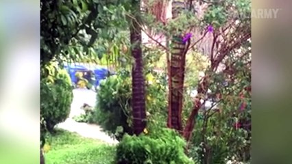 Funny and Weird Weather Fails Compilation 2016   Best Nature Fails by FailArmy