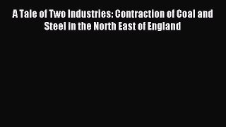 Read A Tale of Two Industries: Contraction of Coal and Steel in the North East of England Ebook