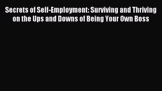 Download Secrets of Self-Employment: Surviving and Thriving on the Ups and Downs of Being Your