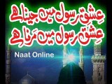 Naat Online : New Full Naats Album [2014] By Muhammad Imran Saikh Attari (Aaqa Ka Sikka Chale ga) - Best New Naats