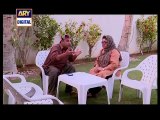 Bulbulay Episode 387 on Ary Digital