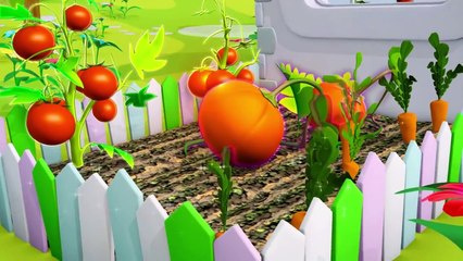 Kids Cartoons in 3D animation: How do Plants & Flowers Grow? { 植物及花卉}