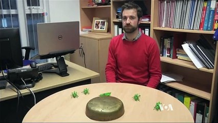 New Mathematical Model Could Revolutionize Locust Control 🦗