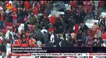 Agressoes entre adeptos do Benfica no jogo (Benfica 3 vs Arouca 1) 23/1/2016