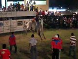 Bull Riding Event in Playas del Coco