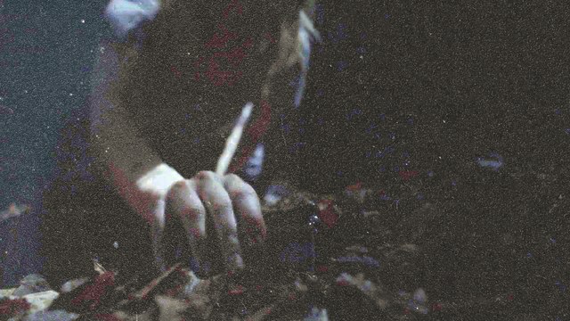 THE FOREST. EL BOSQUE 2016. CINE DE TERROR. ACIAGO FILMS