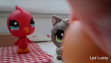 LPS || MV || Little me