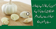 Benefits of Garlic for weight loss, Acne, Hair and Cholesterol
