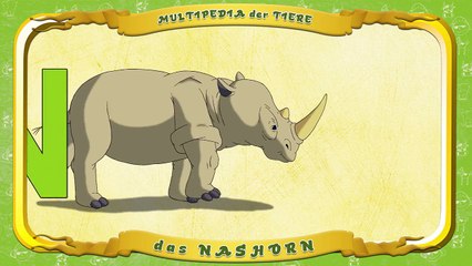 Multipedia der Tiere Buchstabe. N das Nashorn