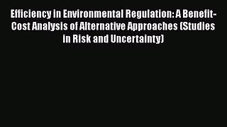 Read Efficiency in Environmental Regulation: A Benefit-Cost Analysis of Alternative Approaches