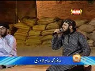 Labbaik Ya Rasoolallah Tahir Qadri naat