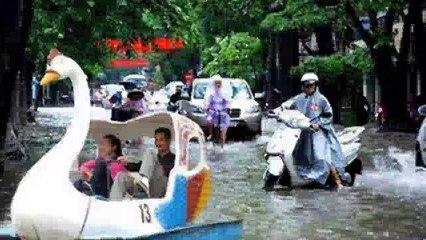 The funny animal pictures 2016 l Nhung hinh anh hai huoc dong vat 2016