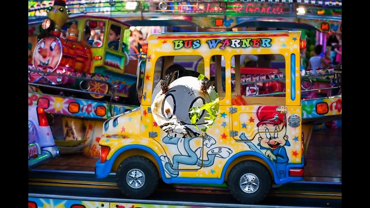 9 Bugs Bunny Rabbit Funny Photos Toon Cartoon Images