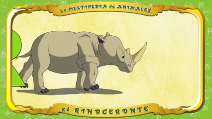 la Multipedia de animales. Letra R el Rinoceronte
