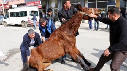 Sahibinin Yol Ortasında Terk Edip Gittiği Ata Esnaf Müdahalesi