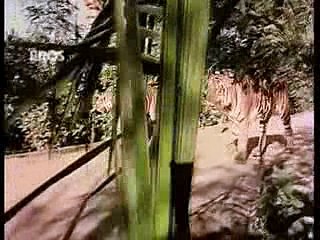 Nafrat Ki Duniya Ko Chhod Ke - Hathi mere Sathi