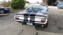 Eleanor Mustang Fastback 1965