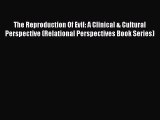 Read The Reproduction Of Evil: A Clinical & Cultural Perspective (Relational Perspectives Book