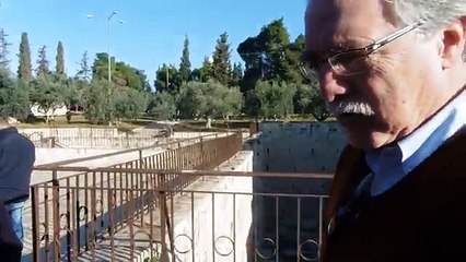 One of the very interesting talking this morning.... 11-12-2016 (Funny Videos 720p)