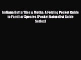 Download Indiana Butterflies & Moths: A Folding Pocket Guide to Familiar Species (Pocket Naturalist