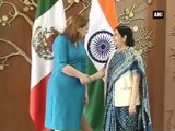 Mexican Foreign Affairs Minister meets EAM Sushma Swaraj
