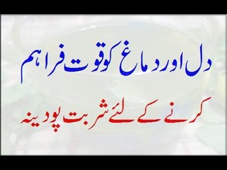 Dil Or Dimagh Ko Quwat Faraham Karne Ke Lye Sharbate Podina