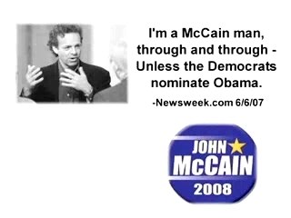 McCain McKinnon Ad
