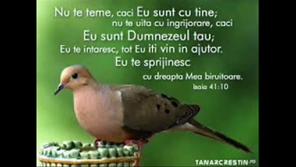 Negativ crestin te iubesc Isuse