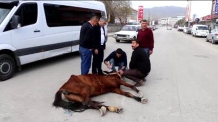 Bitkinlikten Yere Yığılan Ata Vatandaşlar Sahip Çıktı