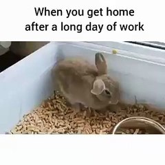 when you get home after a long day of work