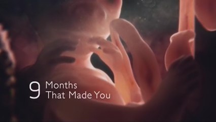 BBC: Девять месяцев, которые создают нас. Часть 2. Вопреки всему (2015)
