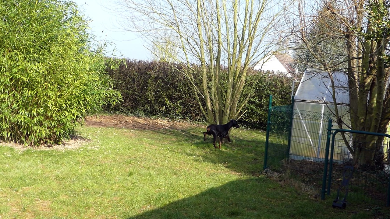 GLORIA dans le jardin