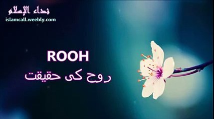 ROOH.. Soul روح - Maulana Tariq Jameel [Emotional Bayan]