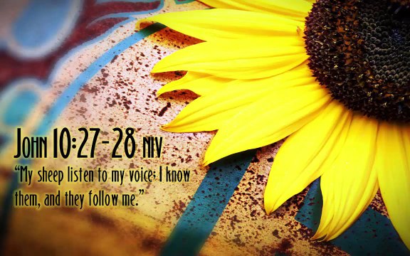 Christian song MERA KHUDAWAND MERA MASIHA KITNA BHALA HAI