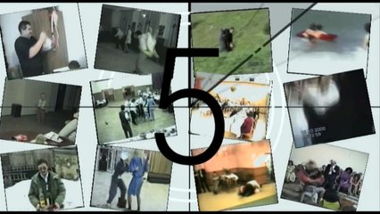 Funny Animals - Funny Dog plays TAKEDOWN