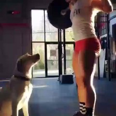 أريد أن أصبح كلبا لولاد لكل يتمناو رواحهم في بلاصتو ههههههه