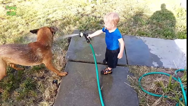Dogs and Babies Playing with Hoses Compilation 2015