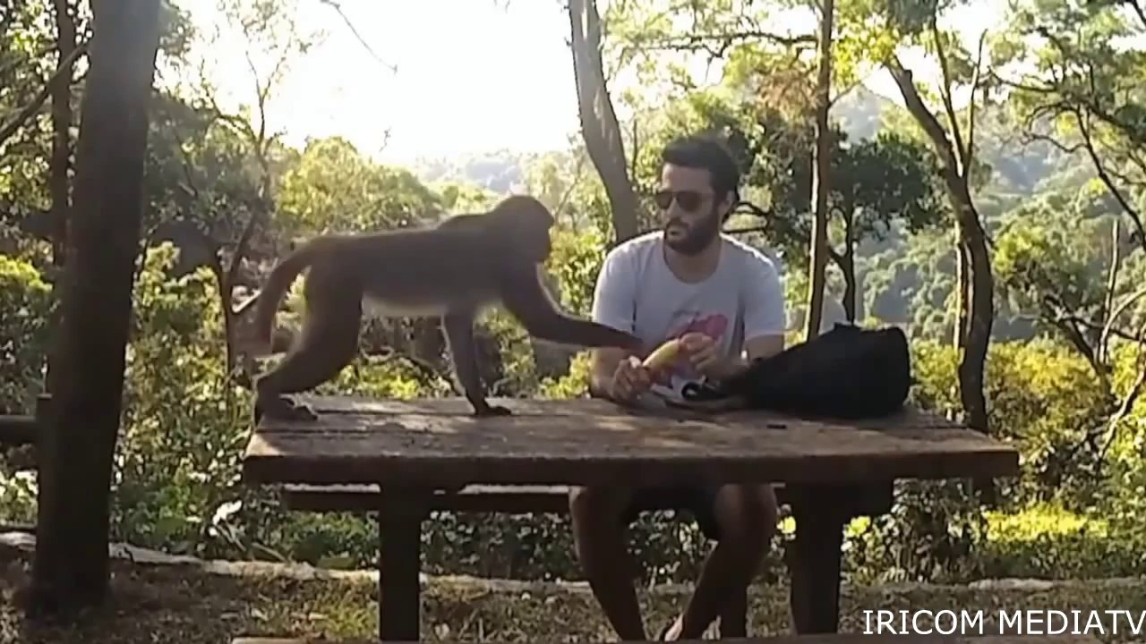 Ultimate Fails compilation 2016 funny videos 2016 - Humorous Videos - Funny Videos - Videos of laugh