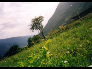 LIBRO Il mio lungo viaggio nell'Islam- La mia storia