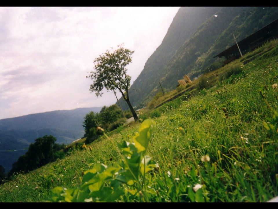 LIBRO Il mio lungo viaggio nell'Islam- La mia storia