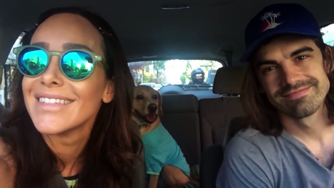 Retrouvailles émouvantes de jeunes chiens de la même portée