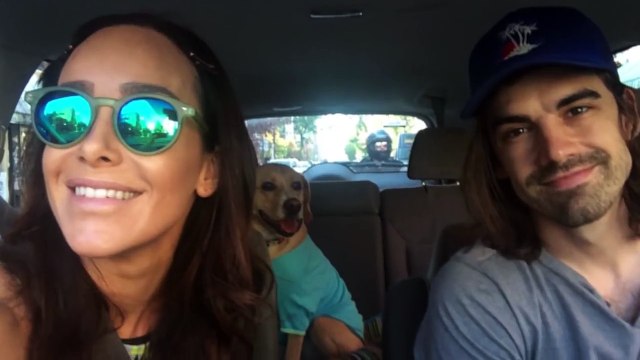 Retrouvailles émouvantes de jeunes chiens de la même portée