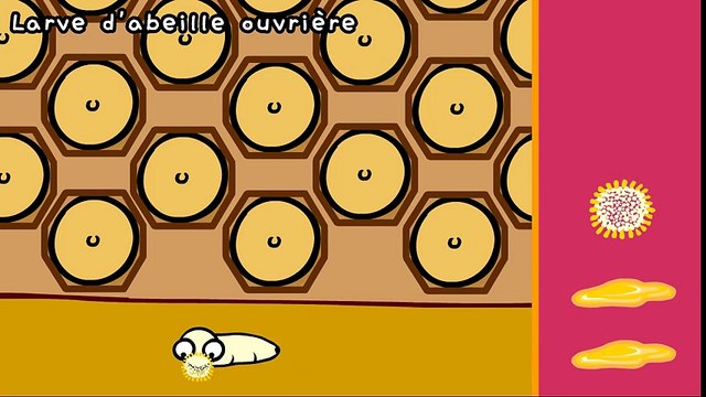 Le secret des abeilles - Dessin animé éducatif Genikids Dessins Animés Pour Enfants