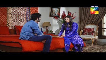 Ek Thi Misaal Episode 33 Full HUM TV Drama 04 Jan 2016