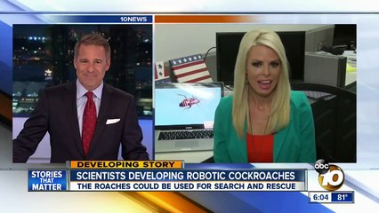 Scientists developing robotic cockroaches