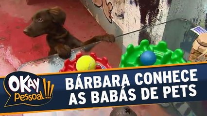 Download Video: Bárbara Koboldt conhece o trabalho das babás de pets